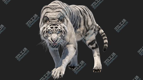 images/goods_img/20210312/3D White Tiger Fur/2.jpg